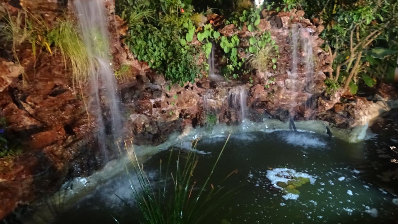 Mt Pleasant Bed And Breakfast Ltd Хараре Экстерьер фото